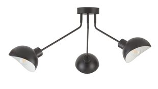 Потолочный светильник ROY 32431 цена и информация | Потолочные светильники | 220.lv