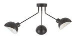 Griestu lampa Roy 32431