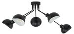 Griestu lampa ROY 32433