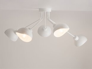 Griestu lampa ROY 32434 цена и информация | Потолочные светильники | 220.lv