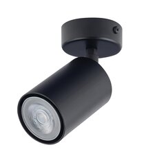 Griestu lampa Zoom 33309 cena un informācija | Griestu lampas | 220.lv