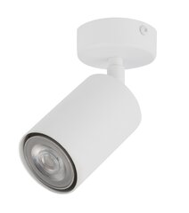 Потолочный светильник ZOOM 33314 цена и информация | Потолочные светильники | 220.lv