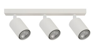 Griestu lampa Zoom 33316 цена и информация | Потолочные светильники | 220.lv