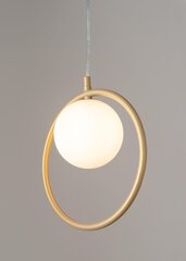 Piekarināma lampa Aqua 33409 cena un informācija | Piekaramās lampas | 220.lv