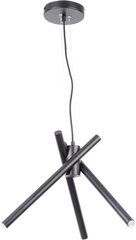 Подвесной светильник LUMEN 33200 цена и информация | Настенный/подвесной светильник Eye Spot 11 BL, чёрный | 220.lv