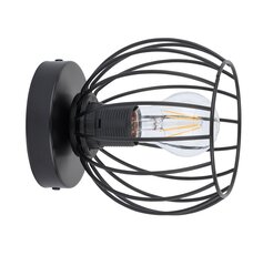 Настенный светильник CHERRY 32364 цена и информация | Настенные светильники | 220.lv