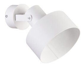 Sienas lampa Rif 31345 cena un informācija | Sienas lampas | 220.lv