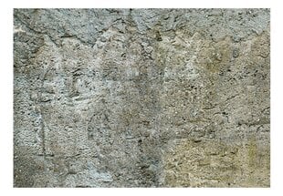 Sienu gleznojumi - Akmens barjera 300x210cm cena un informācija | Fototapetes | 220.lv