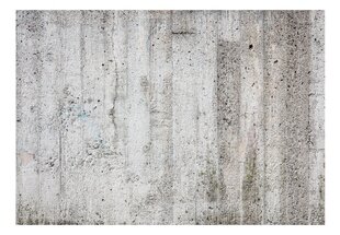 Sienas gleznojumi - Grey Emperor 250x175cm cena un informācija | Fototapetes | 220.lv