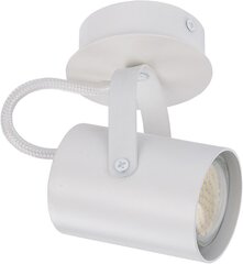 Потолочный светильник KAMERA 32560 цена и информация | Настенный/подвесной светильник Eye Spot 11 BL, чёрный | 220.lv