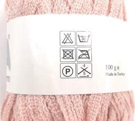 Adīšanas dzija Diva Fancy Yarns 100g; krāsa gaiši rozā 1R26 цена и информация | Принадлежности для вязания | 220.lv