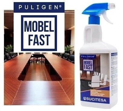 Puligen Mobel Fast koka virsmu tīrīšanas līdzeklis - pulētājs, 1 l цена и информация | Tīrīšanas līdzekļi | 220.lv