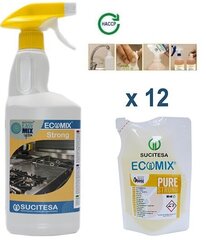 Ecomix Strong Grease Remover, 12 gab cena un informācija | Tīrīšanas līdzekļi | 220.lv