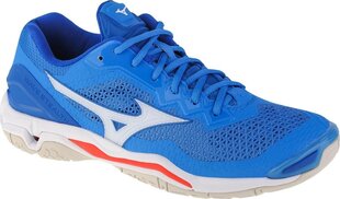 Мужские кеды Mizuno, синие цена и информация | Кроссовки для мужчин | 220.lv