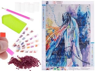 Набор мозаики для алмазной вышивки 5D лошадь цена и информация | Развивающие игрушки | 220.lv
