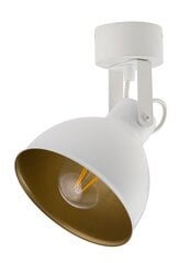 Griestu lampa Mars 32267 cena un informācija | Griestu lampas | 220.lv