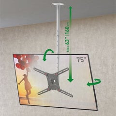 Потолочное крепление Barkan AL450L для телевизора, 13"-75", 43 кг, 600x400 мм цена и информация | Кронштейны и крепления для телевизоров | 220.lv