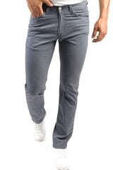 Джинсы мужские BLK Jeans 8252198216202-31/34, серые цена и информация | Мужские джинсы | 220.lv