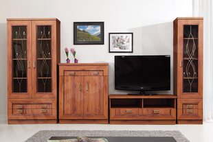 Комплект мебели NORIS III-dąb stuletni цена и информация | Шкафчики в гостиную | 220.lv