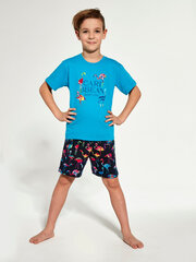 Пижамы для мальчиков 930616 цена и информация | Пижамы, халаты для мальчиков | 220.lv