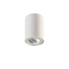 Накладной потолочный светильник Jolina, белый цена и информация | Потолочные светильники | 220.lv