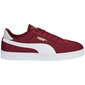 Unisex Puma Club Nylon apavi 384822 07, bordo krāsas cena un informācija | Sporta apavi sievietēm | 220.lv