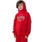 Džemperis zēniem 4F Jr HJZ22-JBLM006 62S, sarkans cena un informācija | Zēnu jakas, džemperi, žaketes, vestes | 220.lv