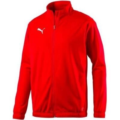 Džemperis Puma Sideline Jr. 655947 01, sarkans цена и информация | Zēnu jakas, džemperi, žaketes, vestes | 220.lv