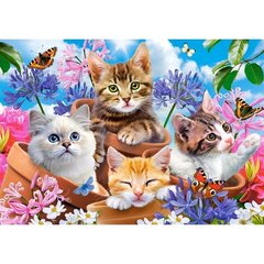Puzle Kaķēni un ziedi, Castorland, 500 det cena un informācija | Puzles, 3D puzles | 220.lv