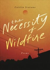 Necessity of Wildfire: Poems цена и информация | Поэзия | 220.lv