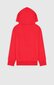 Champion bērnu sporta krekls 306277*RS005, sarkans 8054112975987 цена и информация | Zēnu jakas, džemperi, žaketes, vestes | 220.lv