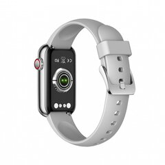 Garett Electronics Action Silver cena un informācija | Viedpulksteņi (smartwatch) | 220.lv