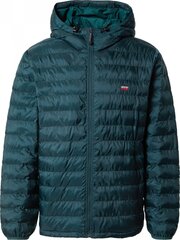 Мужская куртка Levi`s, зеленая цена и информация | Мужские куртки | 220.lv