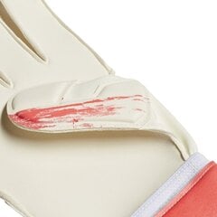 Вратарские перчатки Adidas Predator Training, белые цена и информация | Тренировочные перчатки. Размер 5 | 220.lv