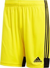 Шорты Adidas Tastigo 19, желтые цена и информация | Футбольная форма и другие товары | 220.lv