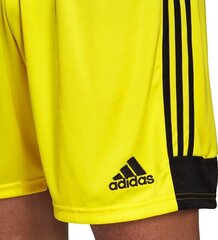 Шорты Adidas Tastigo 19, желтые цена и информация | Футбольная форма и другие товары | 220.lv