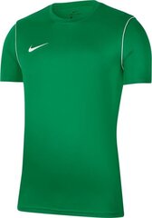 Футболка Nike JR Park 20, зеленая цена и информация | Футбольная форма и другие товары | 220.lv