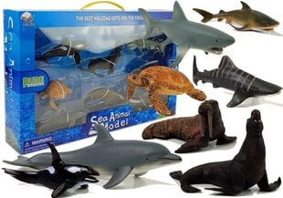 Izglītojošas figūriņas Jūras dzīvnieki 8 elementi cena un informācija | Rotaļlietas zēniem | 220.lv