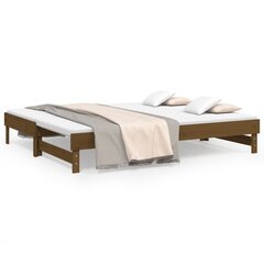 Izvelkama gulta, medus brūna, 2x(100x200)cm, priedes masīvkoks cena un informācija | Gultas | 220.lv