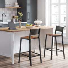 Industriālā dizaina 2 bāra krēslu komplekts cena un informācija | Virtuves un ēdamistabas krēsli | 220.lv