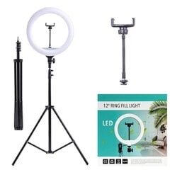 Airi LED Lamp цена и информация | Осветительное оборудование для фотосъемок | 220.lv