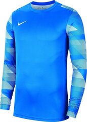 Džemperis Nike Y Park IV GK Boys CJ6072 463, zils cena un informācija | Futbola formas un citas preces | 220.lv