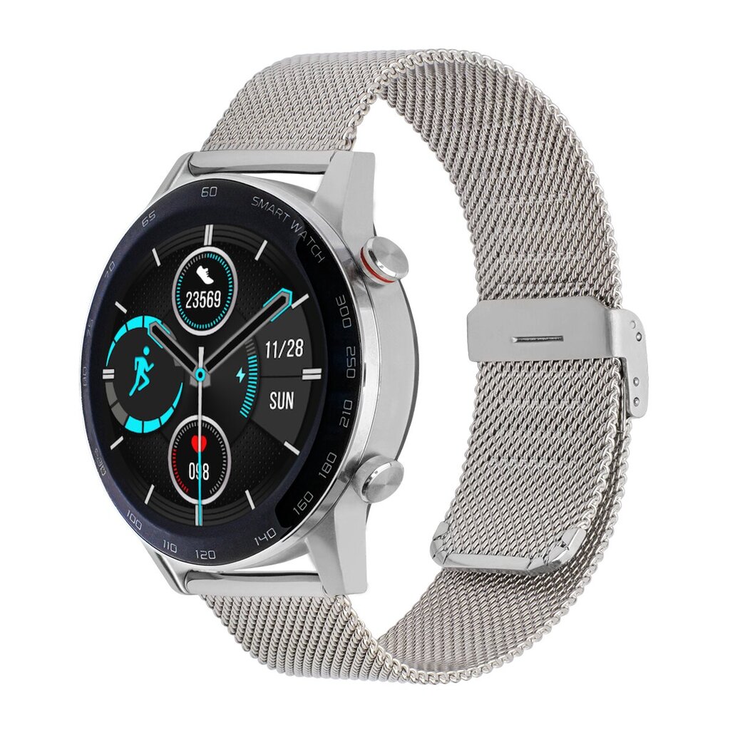 WDT95 Silver Steel cena un informācija | Viedpulksteņi (smartwatch) | 220.lv