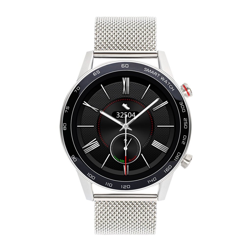 WDT95 Silver Steel cena un informācija | Viedpulksteņi (smartwatch) | 220.lv