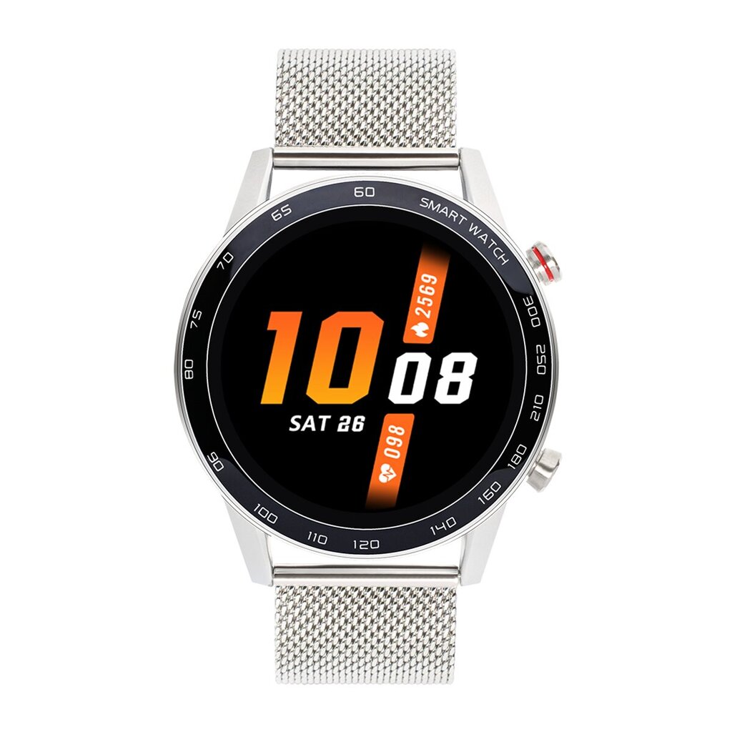 WDT95 Silver Steel цена и информация | Viedpulksteņi (smartwatch) | 220.lv