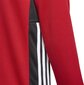 Džemperis Adidas Regista 18 Training Jr CZ8656, sarkans cena un informācija | Futbola formas un citas preces | 220.lv