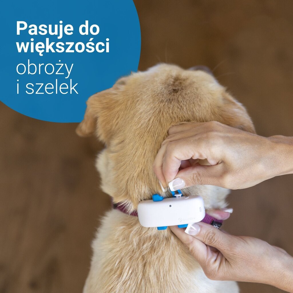 Tractive Tractive GPS DOG 4 suņu lokators ar aktivitātes izsekošanu - balts цена и информация | Apģērbi suņiem | 220.lv