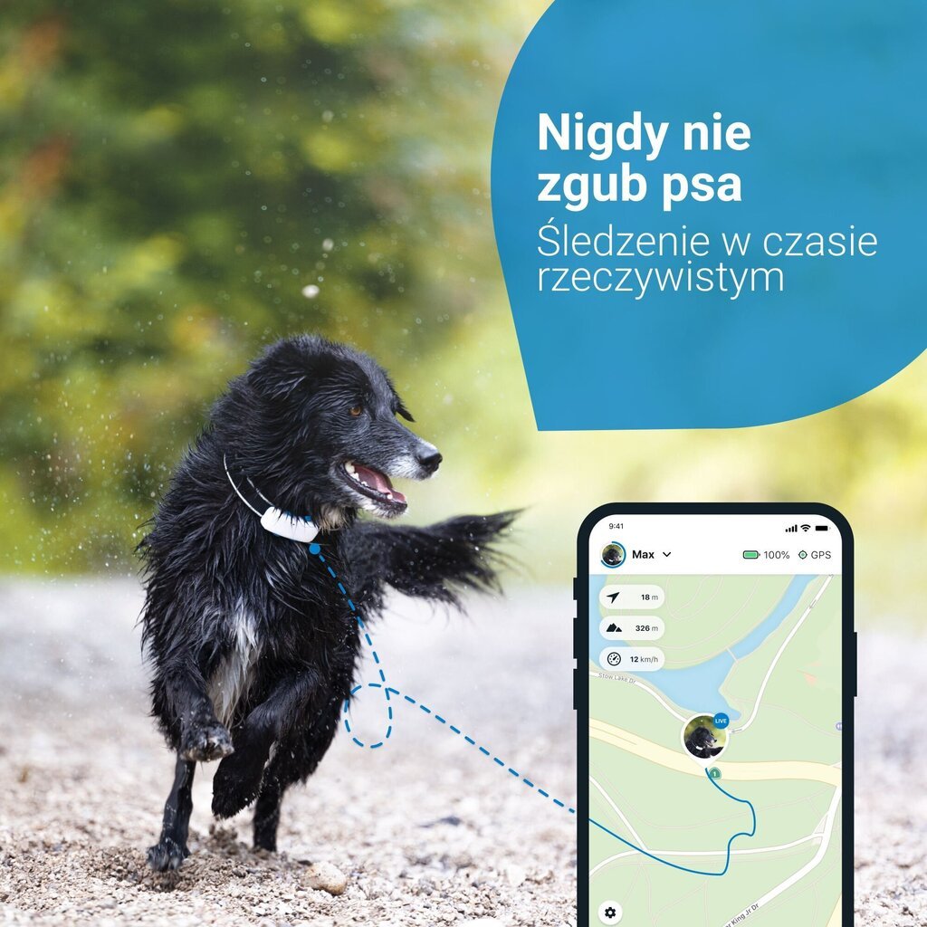 Tractive Tractive GPS DOG 4 suņu lokators ar aktivitātes izsekošanu - balts cena un informācija | Apģērbi suņiem | 220.lv