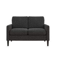 Диван Kaci Loveseat, серый цвет цена и информация | Диваны | 220.lv