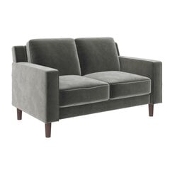 Диван Brynn Loveseat, серый цвет цена и информация | Диваны | 220.lv